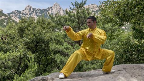 Cos è il kung fu Storia origini tecniche Tanglang it