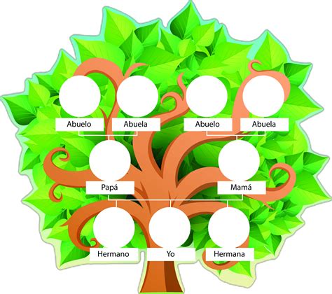arbol genealogico juegos escolares preescolar material didactico