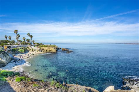 La Jolla Cove Things To Do Beach Directions Parking A Local S Guide Artofit