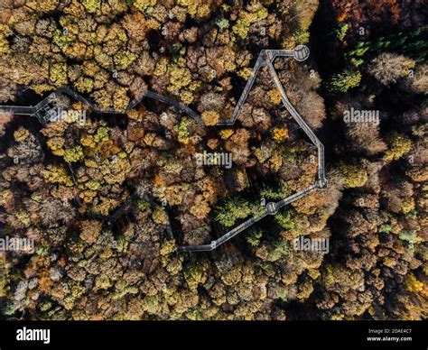 Drohnenaufnahme Wald Fotos Und Bildmaterial In Hoher Auflösung Alamy