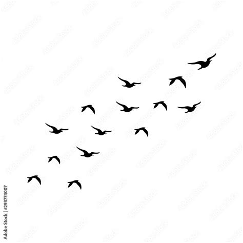 Flock Of Birds Silhouette Isolated On White Background Stock Vector Adobe Stock