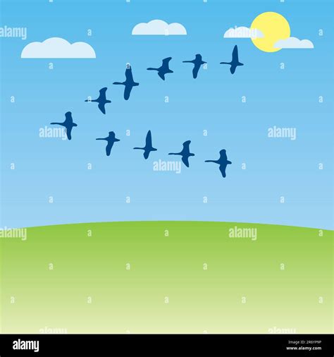 Birds Migratory Vector Illustration Cartoon Stock Vector Image And Art