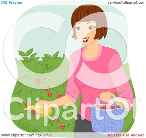 Clipart Of A Happy Brunette White Woman Using A Fruit Picker To Collect