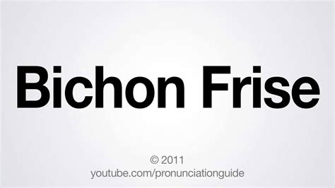 How to Pronounce Bichon Frise - YouTube