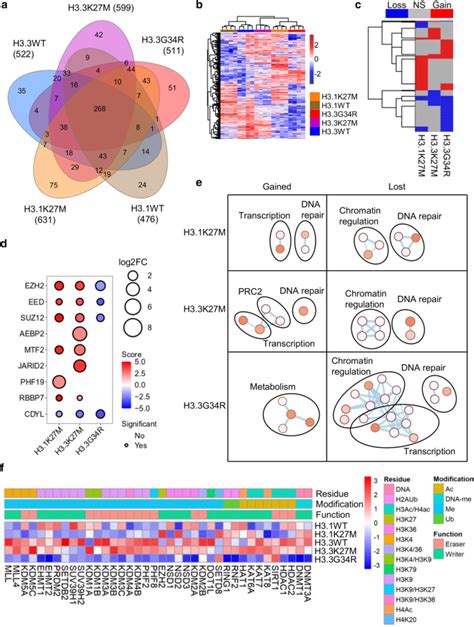 Oncohistone Interactome Profiling Uncovers Contrasting Oncogenic