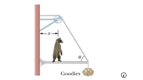 A Bear On A Beam Held By A Wire And A Pivot Youtube