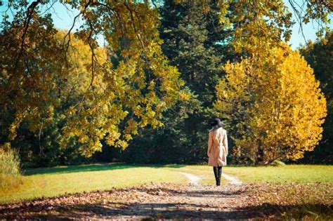 Woman Walking in a Park in Autumn Free Stock Photo | picjumbo