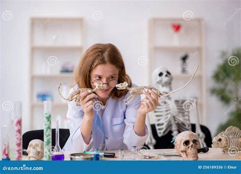 Young Female Zoologist Working At The Lab Stock Photo Image Of