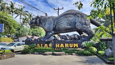 alas harum bali cek fakta menarik htm menu  jam buka