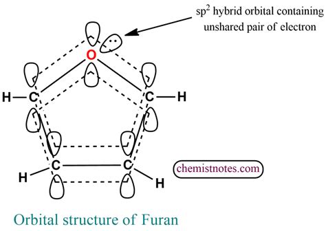 Pyrrole Furan And Thiophene 5 Membered Aromatic Heterocyclic