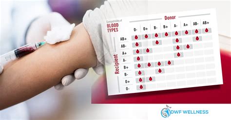 Blood Type Testing – DWF Wellness