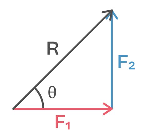 Scalar And Vector Quantities Physics Explanation And Exercises Evulpo