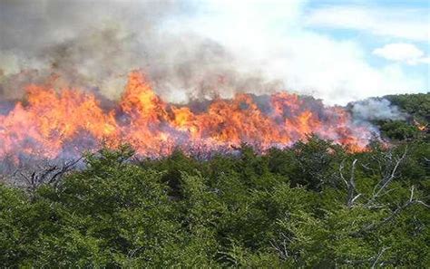 17 incendios forestales que afectaron 83 57 hectáreas en Bogotá