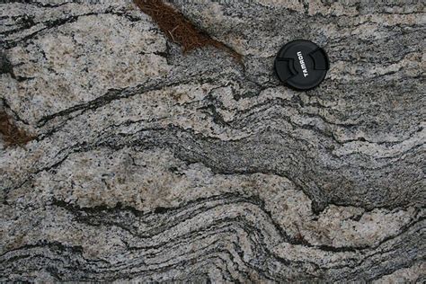 Geology Word Of The Week M Is For Migmatite Georneys Agu