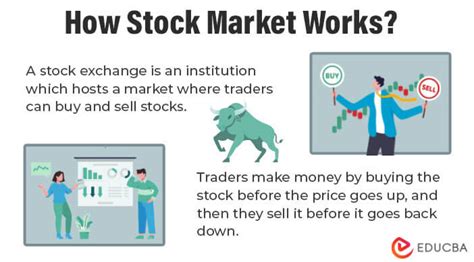 What Is Stock Market Definition Instruments Examples And Ratios