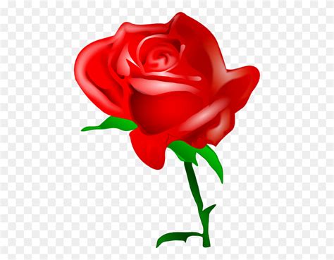 Single Red Rose Clip Art - Single Rose Clipart - FlyClipart