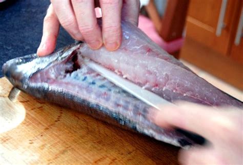 How To Fillet A Sea Bass Easily How To Fillet A Sea Bass — Eatwell101