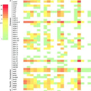 Heatmap Showing Association Frequency Of Antimicrobial Resistance Genes