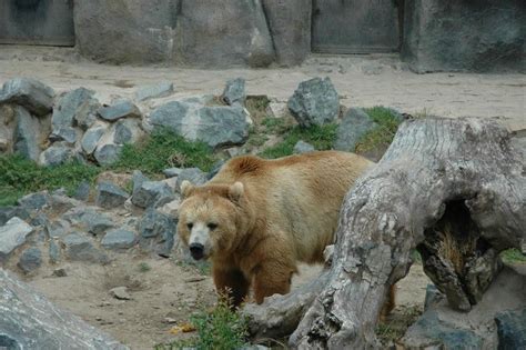 Parque Zoológico De Córdoba Web Oficial De Turismo De Andalucía