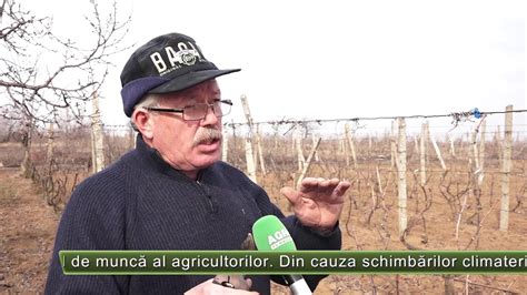 AGRO TV News 05 03 2020 YouTube