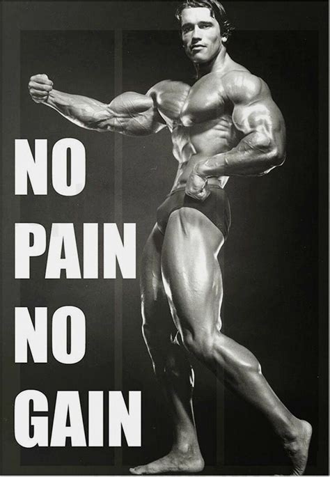 Arnold schwarzenegger gym workout motivational poster | Etsy