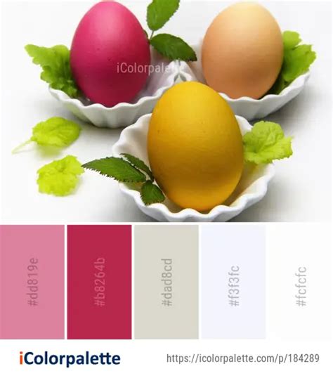 Color Palette Ideas From Egg Food Image Icolorpalette