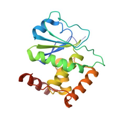 Gene Q Y W Protein Dusp Overview Cansar Ai