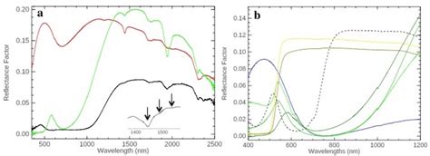 Diffuse Reflectance Spectra From The Painting And Reference Samples A