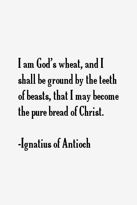 Ignatius of Antioch Quotes & Sayings