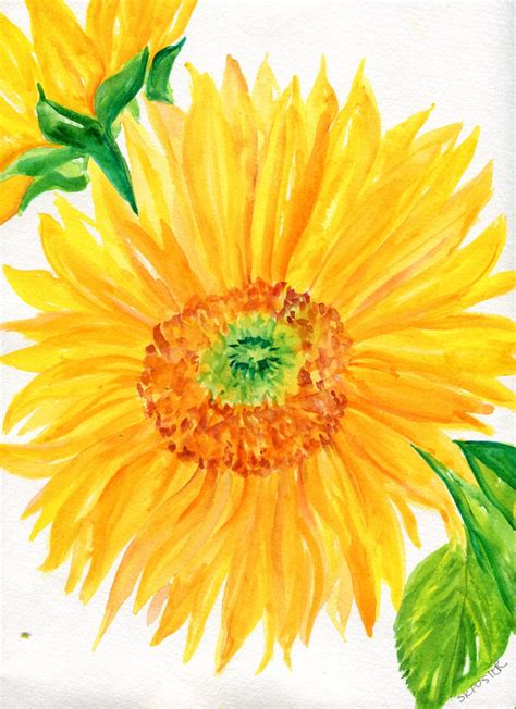 Sunflowers Watercolor Painting original by SharonFosterArt on Etsy