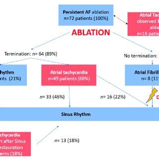 Study Flow Chart Af Atrial Fibrillation At Atrial Tachycardia Sr