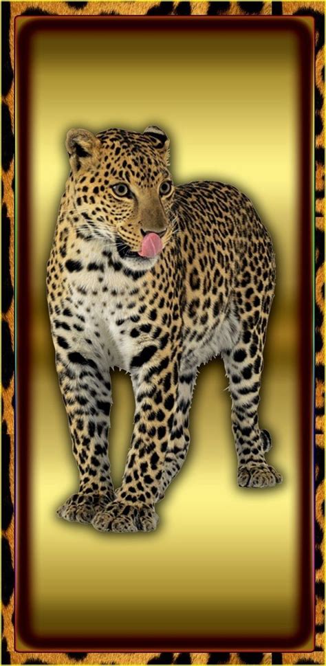 Pin By Queensociety On Color Frequency Big Cats Art Beautiful