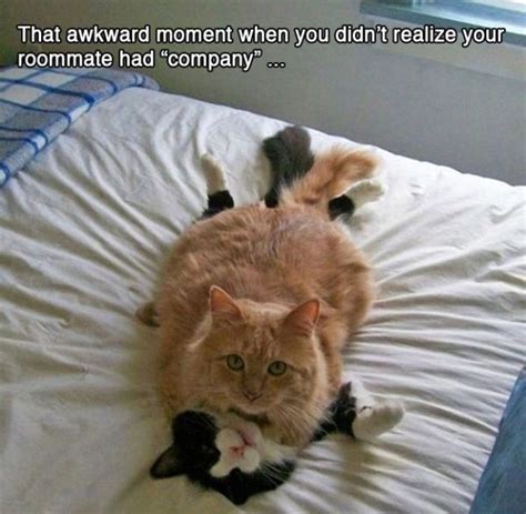 Awkward Moments | Fun