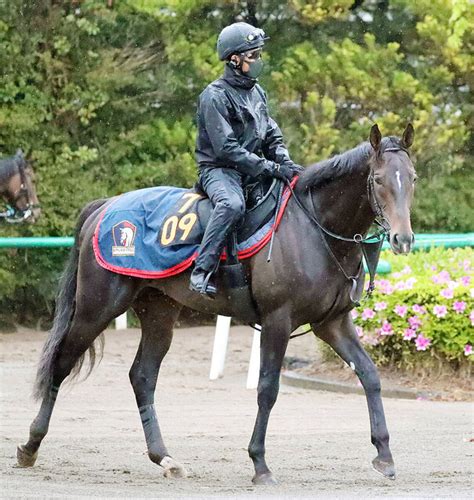 【画像】【青葉賞】キタサンブラック産駒のスキルヴィングが快勝で日本ダービーへ 2着はハーツコンチェルト ライブドアニュース