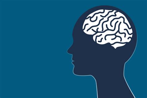 Brain In Human Head Simple Design Graphic Vector Art At Vecteezy