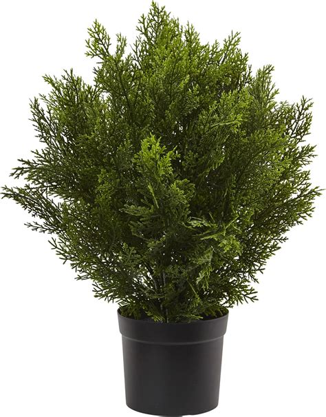 Amazon 24 Tall 16 Round Artificial Topiary Ball Boxwood Trees