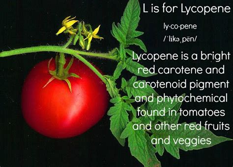 Foods Rich in Lycopene to Eat Every Day | CalorieBee