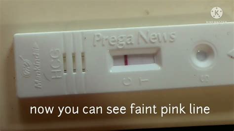 Pregnancy Test Before Missed Period Faint Pink Line Pregnant Or Not Youtube