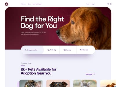 Pet Adoption Website by Rafayel Hasan for SyncRows on Dribbble