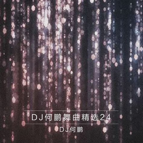 Dj何鹏舞曲精选集24 何鹏 专辑 网易云音乐