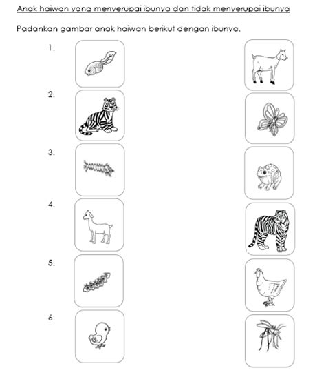 Latihan Sains Tahun 1