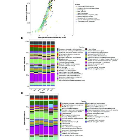 Global Distribution Of Fungi In The Ocean Data Represent Abundance