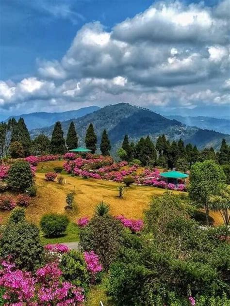 Top 10 One Day Trip Places In Kalimpong Tourld