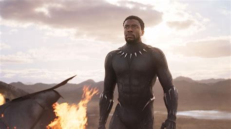 Black Panther Trailer Chadwick Boseman And Michael B Jordan Fight