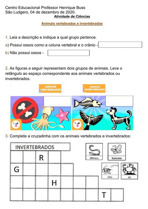 Animais Vertebrados E Invertebrados Activity Worksheets Forgot My