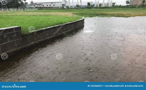 Rain Drops Hitting Flooded Loading Dock Driveway Are West Tn Stock