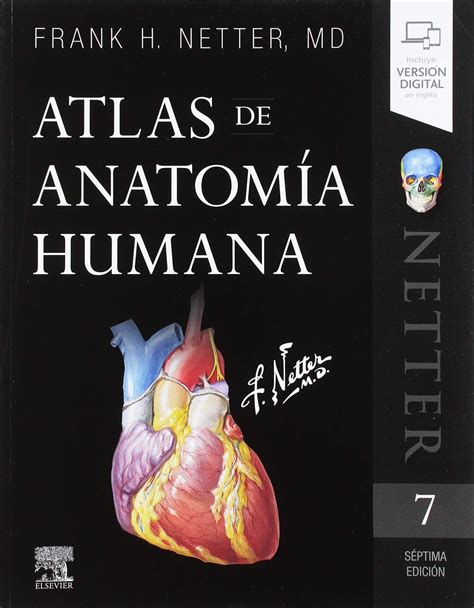 Atlas De Anatom A Edici N Netter Descargar Pdf