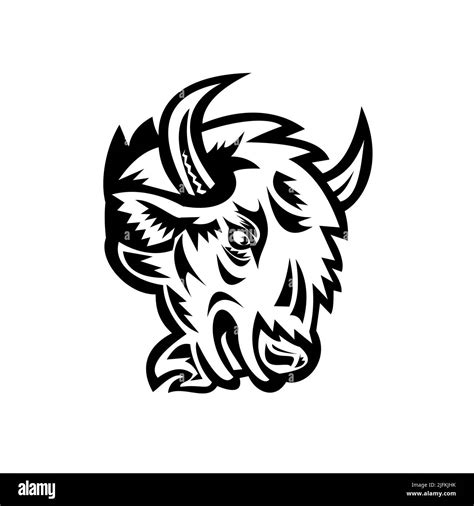 Mascot illustration of head of an angry North American bison or ...