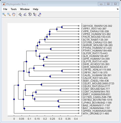 Visualize Edit And Explore Phylogenetic Tree Data Matlab