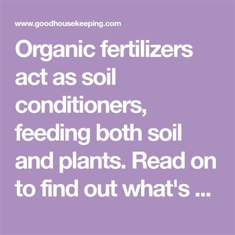 The Benefits Of Using Organic Fertilizers